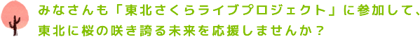 みなさんも「東北さくらライブプロジェクト」に参加して、東北に桜の咲き誇る未来を応援しませんか？