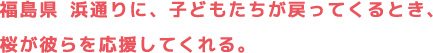 福島県 通りに、子どもたちが戻ってくるとき、桜が彼らを応援してくれる。