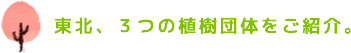 みなさんも「東北さくらライブプロジェクト」に参加して、東北に桜の咲き誇る未来を応援しませんか？