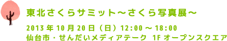 東北さくらサミット～さくら写真展～2013年10月20日（日）12:00～18:00 仙台市・せんだいメディアテーク 1Fオープンスクエア